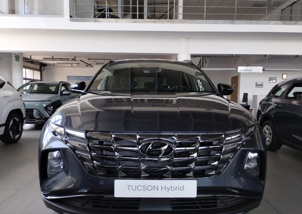 Hyundai Tucson cena 171500 przebieg: 8, rok produkcji 2024 z Hrubieszów małe 211